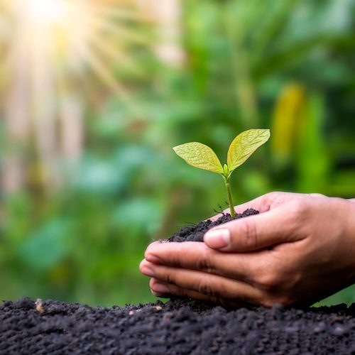 Selbstreflexion Übungen Lehrer Unterricht