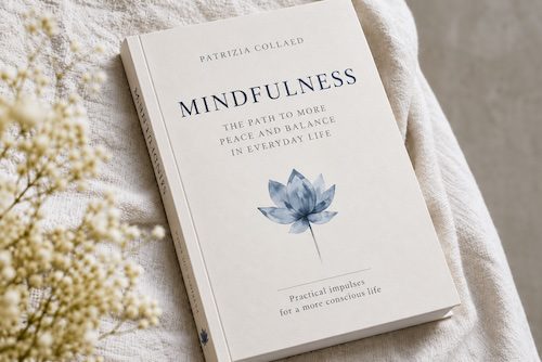 Book for teachers on mindfulness for becoming more resilient